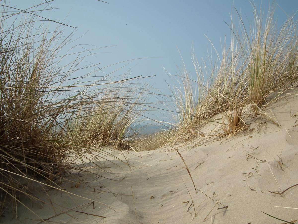 Hollumerstrand Hollum  Kültér fotó